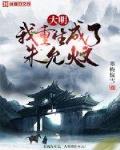 大明:我重生成了朱允炆