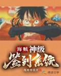 海贼:神级签到系统