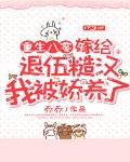 重生八零:嫁给退伍糙汉我被娇养了