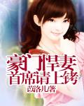 豪门警妻,老公请上铐
